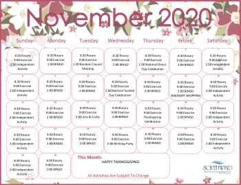 thumbnail of SWHR November 2020 Calendar-edited