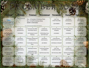 thumbnail of SWHR December 2022 Calendar – edited